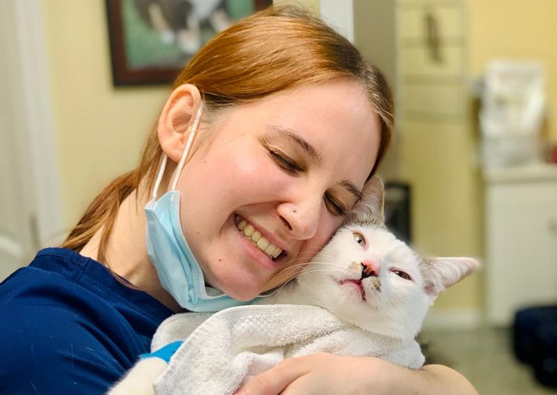 Lake Alfred Animal Hospital Lake Alfred Veterinarians